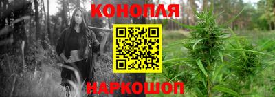 гашик Кандалакша