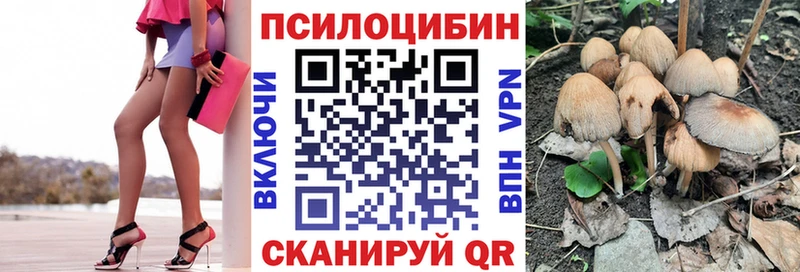 Псилоцибиновые грибы Psilocybine cubensis магазин Одинцово