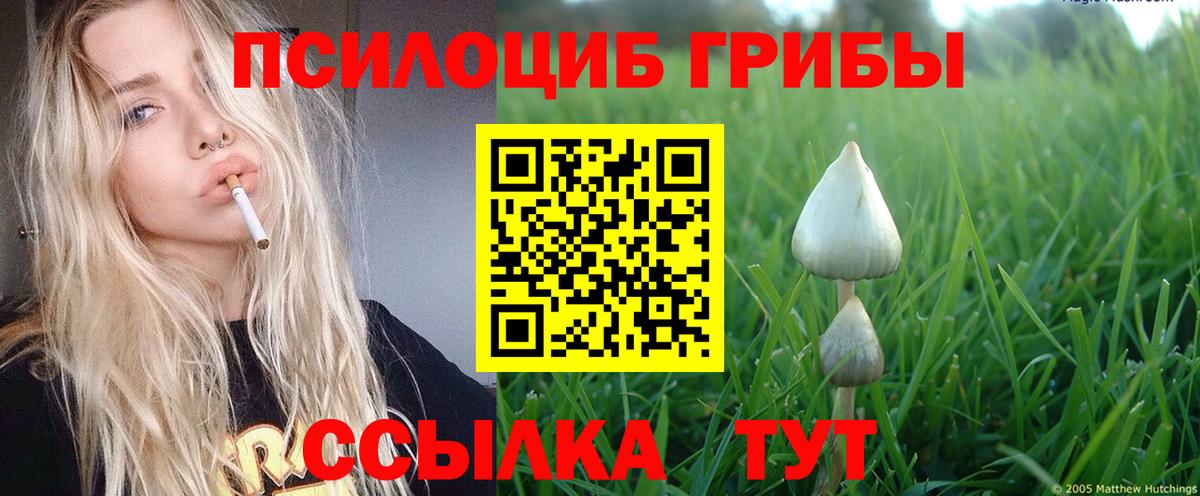 Псилоцибиновые грибы прущие грибы Одинцово