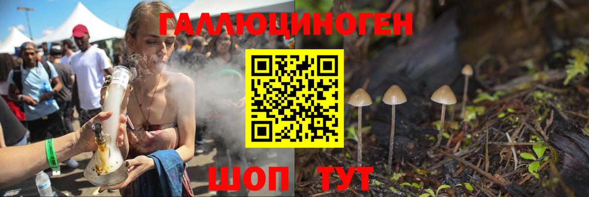 Одинцово  Псилоцибиновые грибы мицелий  Псилоцибиновые грибы Psilocybine cubensis  где найти наркотики  Вход с VPN 